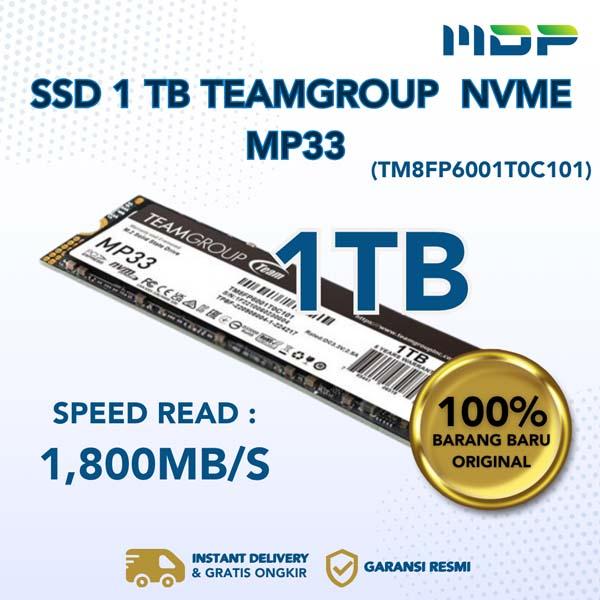 SSD 1 TB ADATA TEAM NVME MP33 (TM-MP33-1TB/TM8FP6001T0C101)